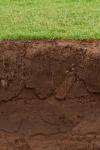 Revealing the Benefits of Purchasing Soluble Humic Acid Powder Products